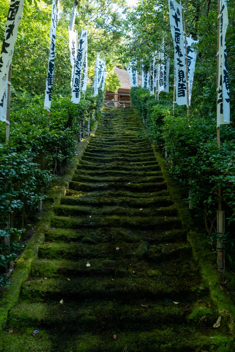 投稿写真：杉本寺 苔の石段