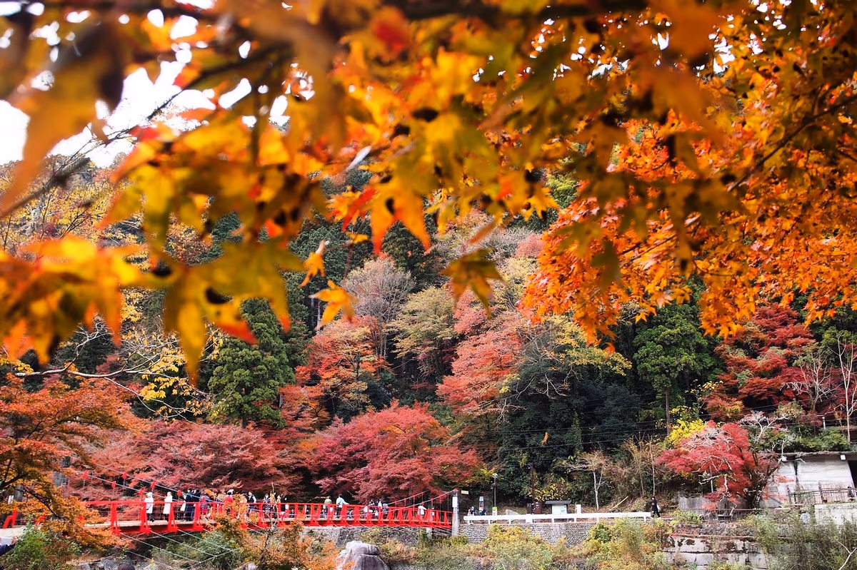 投稿写真：香嵐渓