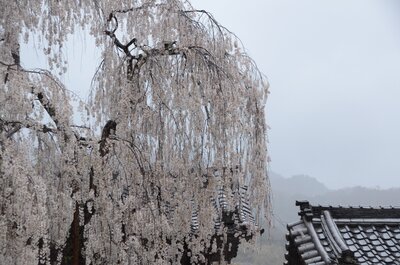  | 絶景事典