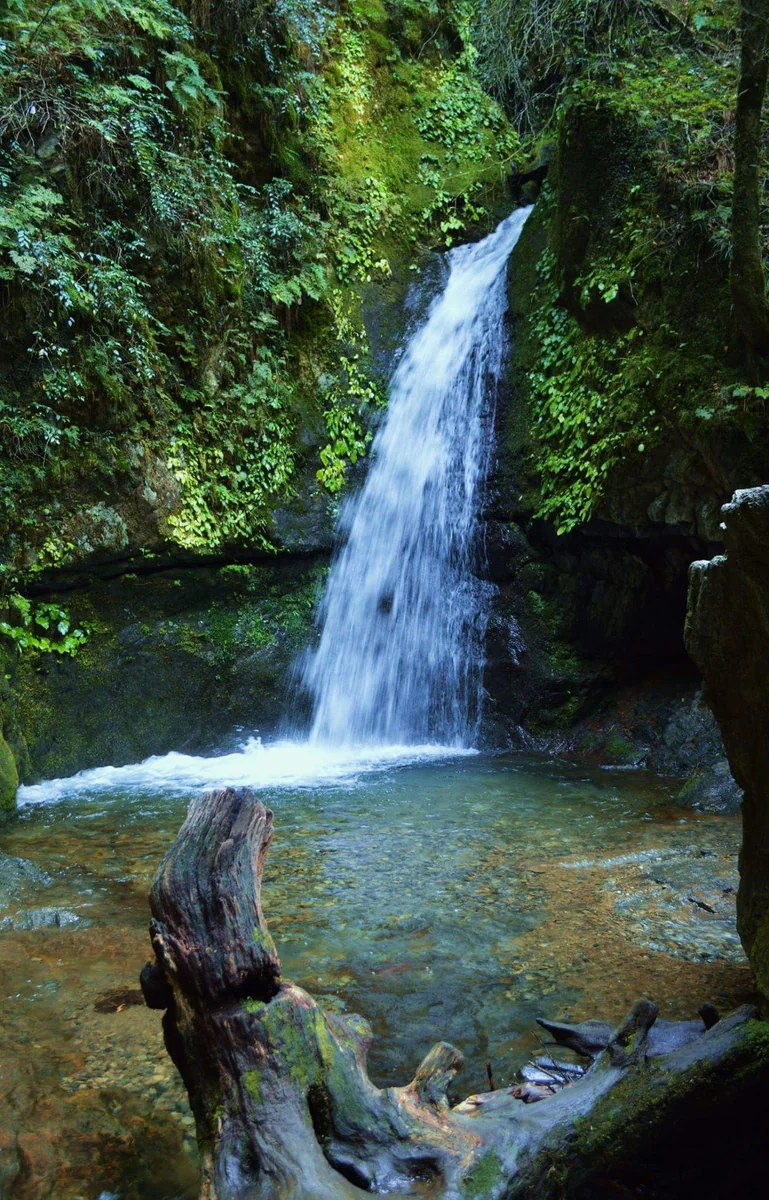 投稿写真：七代の滝