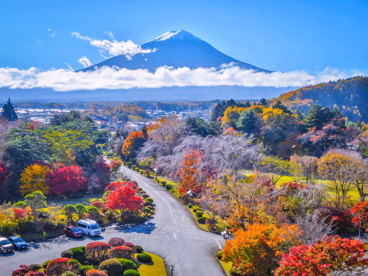 投稿写真：色とりどりの紅葉と富士山