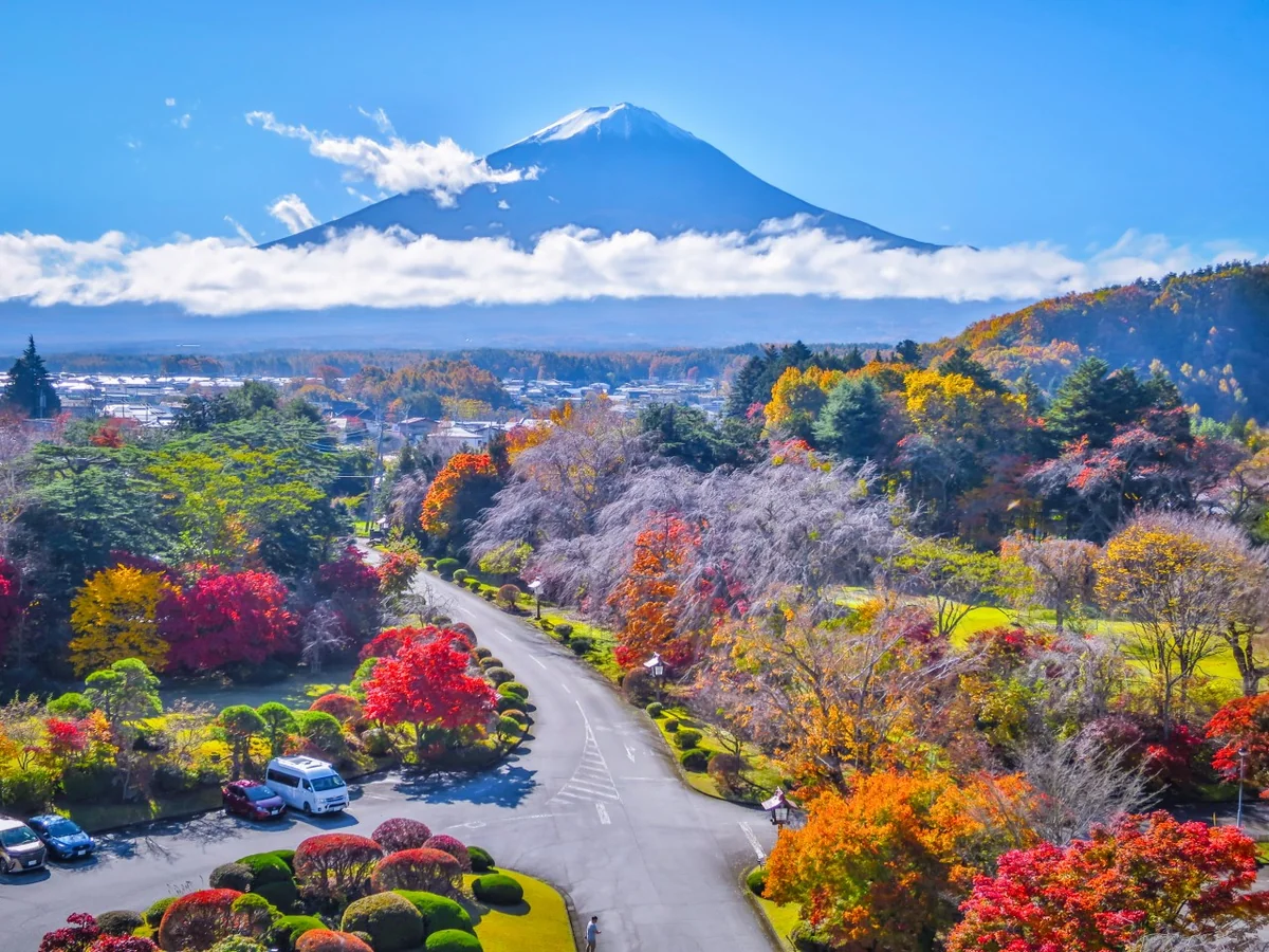 投稿写真：色とりどりの紅葉と富士山
