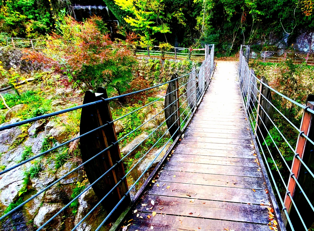 投稿写真：下城滝のつり橋