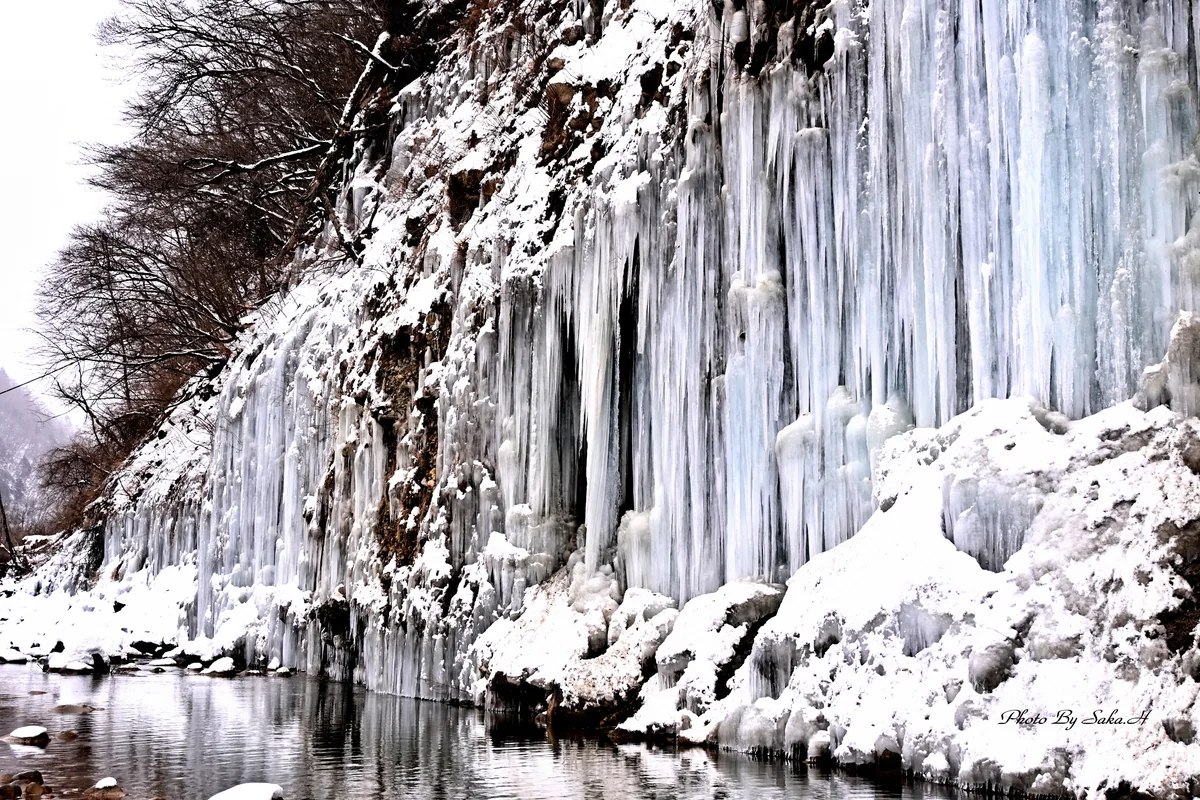 Hiromi Sakataさんの投稿写真