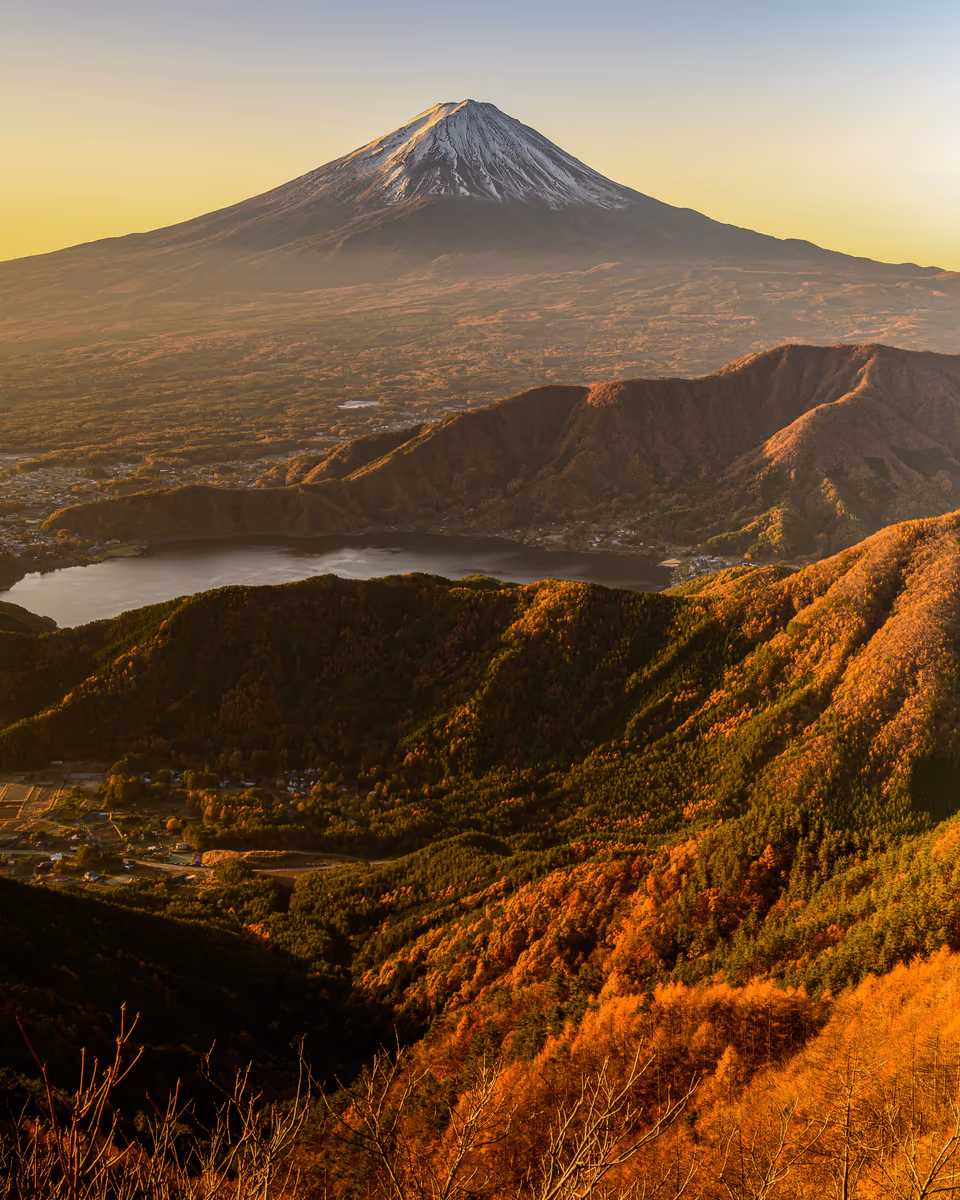 投稿写真：未来を信じて