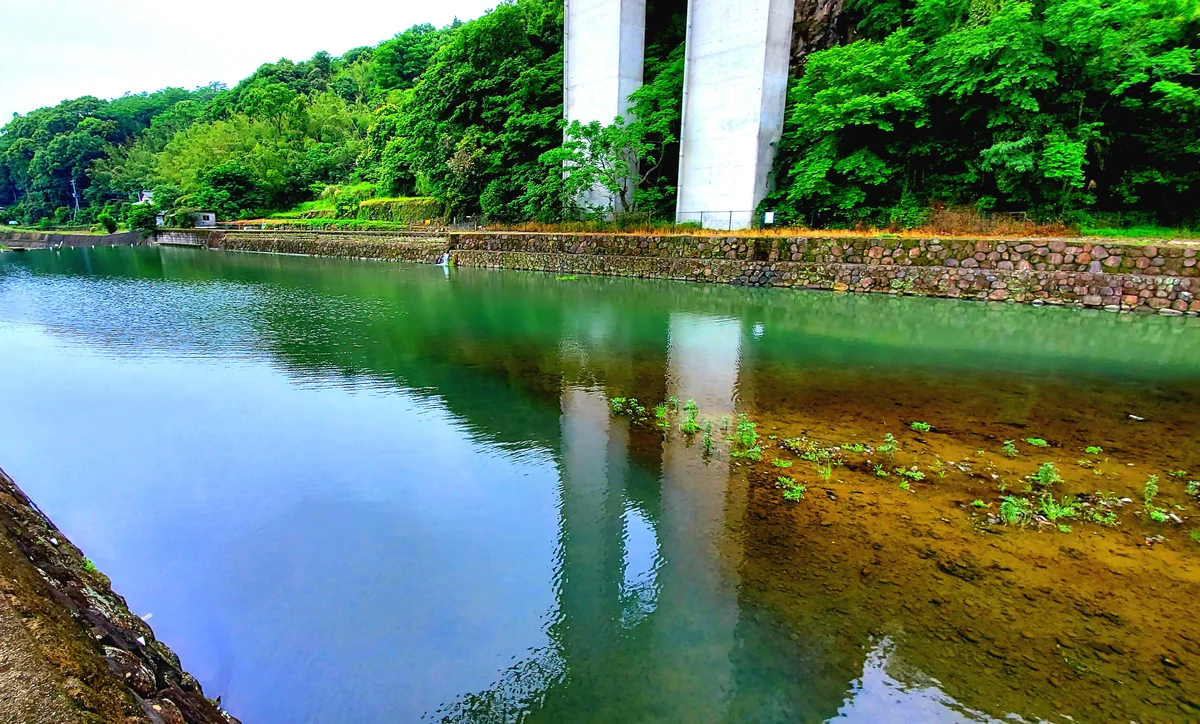 投稿写真：江の串川