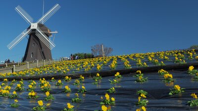  | 絶景事典