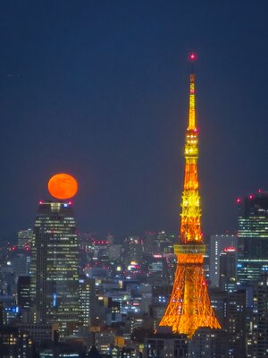  | 絶景事典