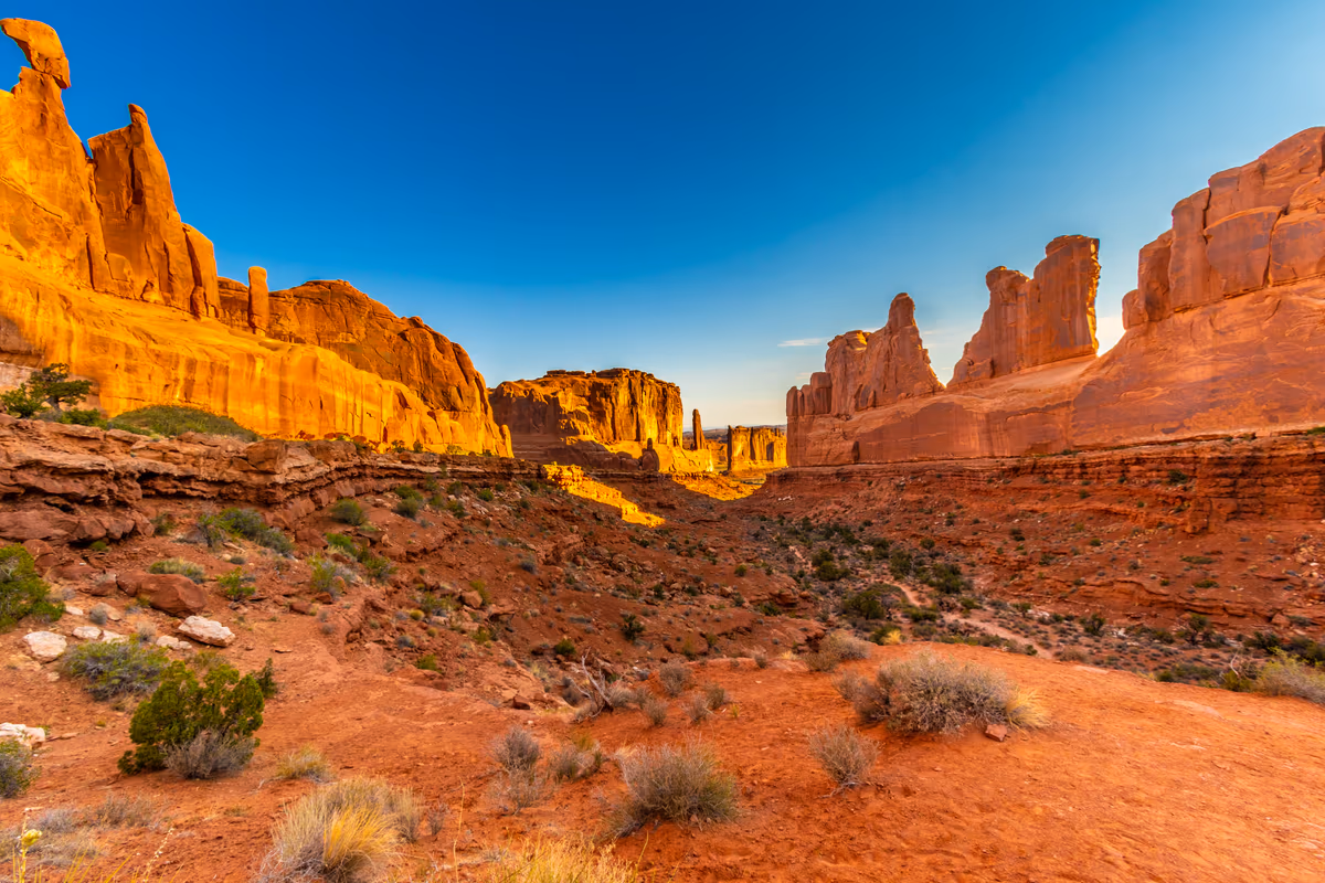 投稿写真：Park Avenue Trailhead