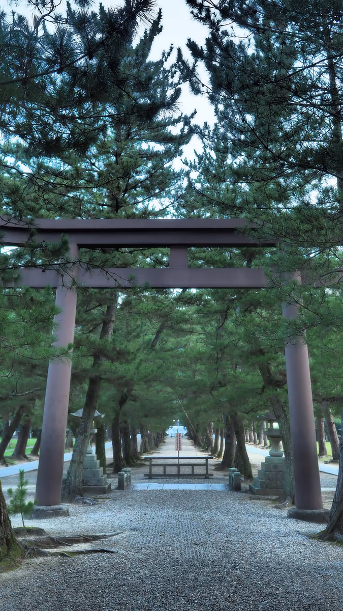 投稿写真：神様の通る道