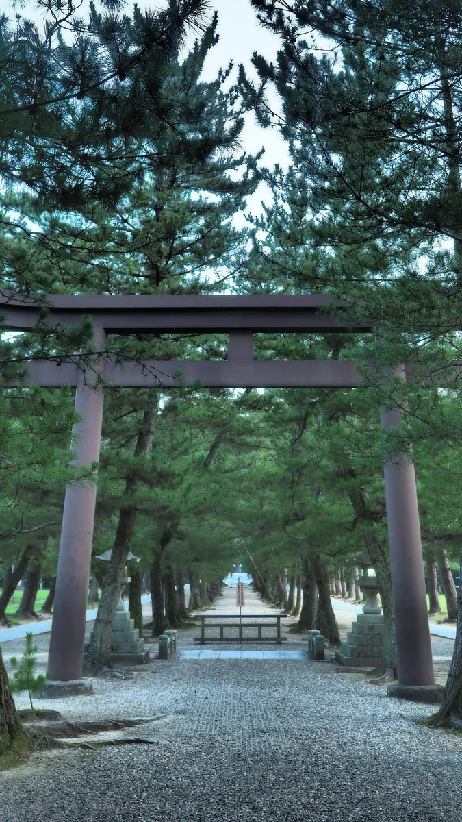 投稿写真：神様の通る道