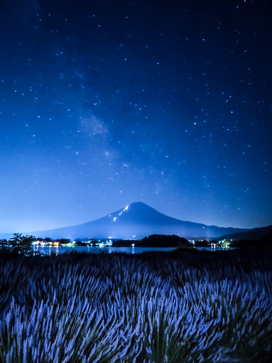 投稿写真：富士山から立ち上がる天の川とラベンダー