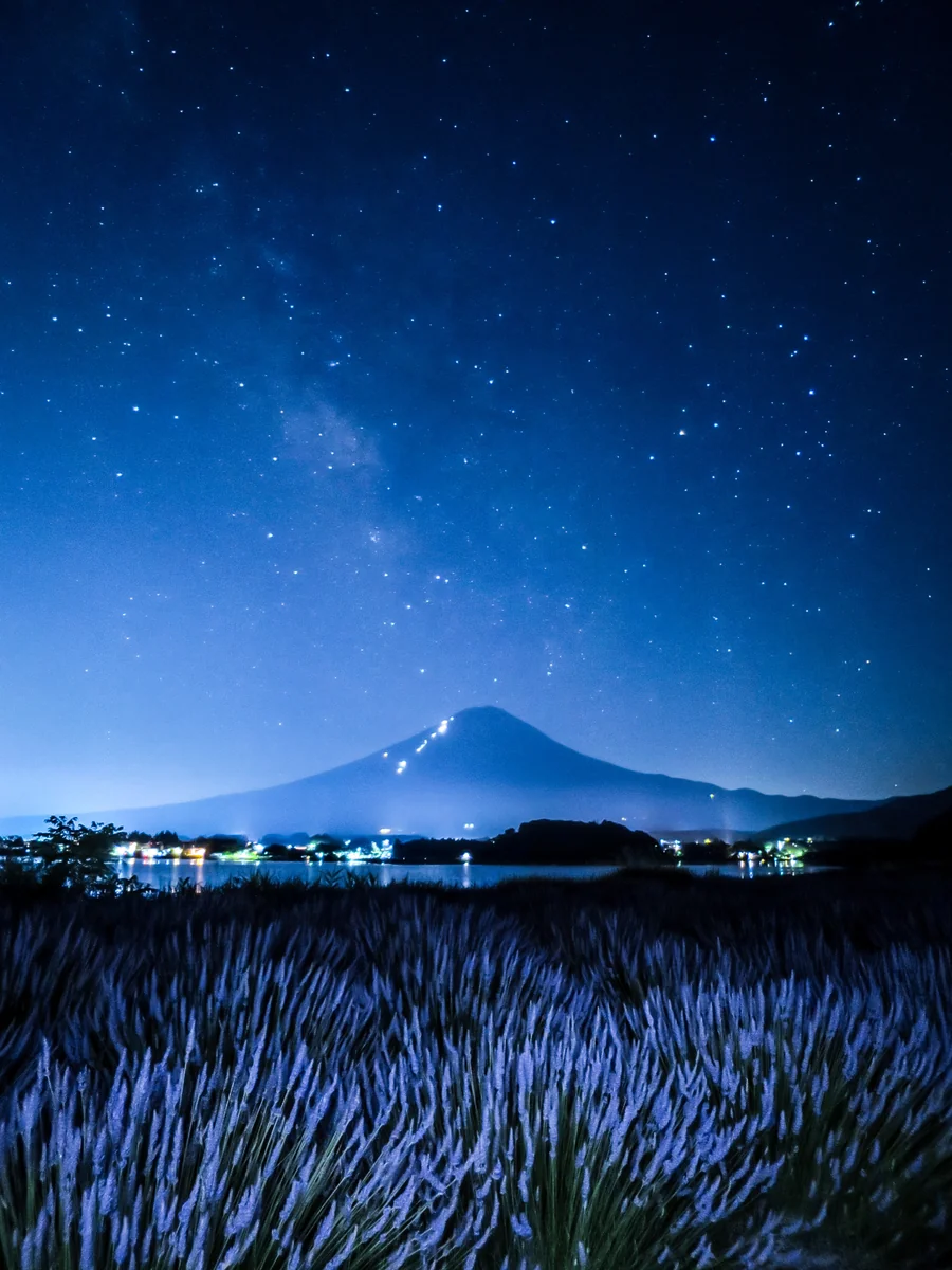投稿写真：富士山から立ち上がる天の川とラベンダー