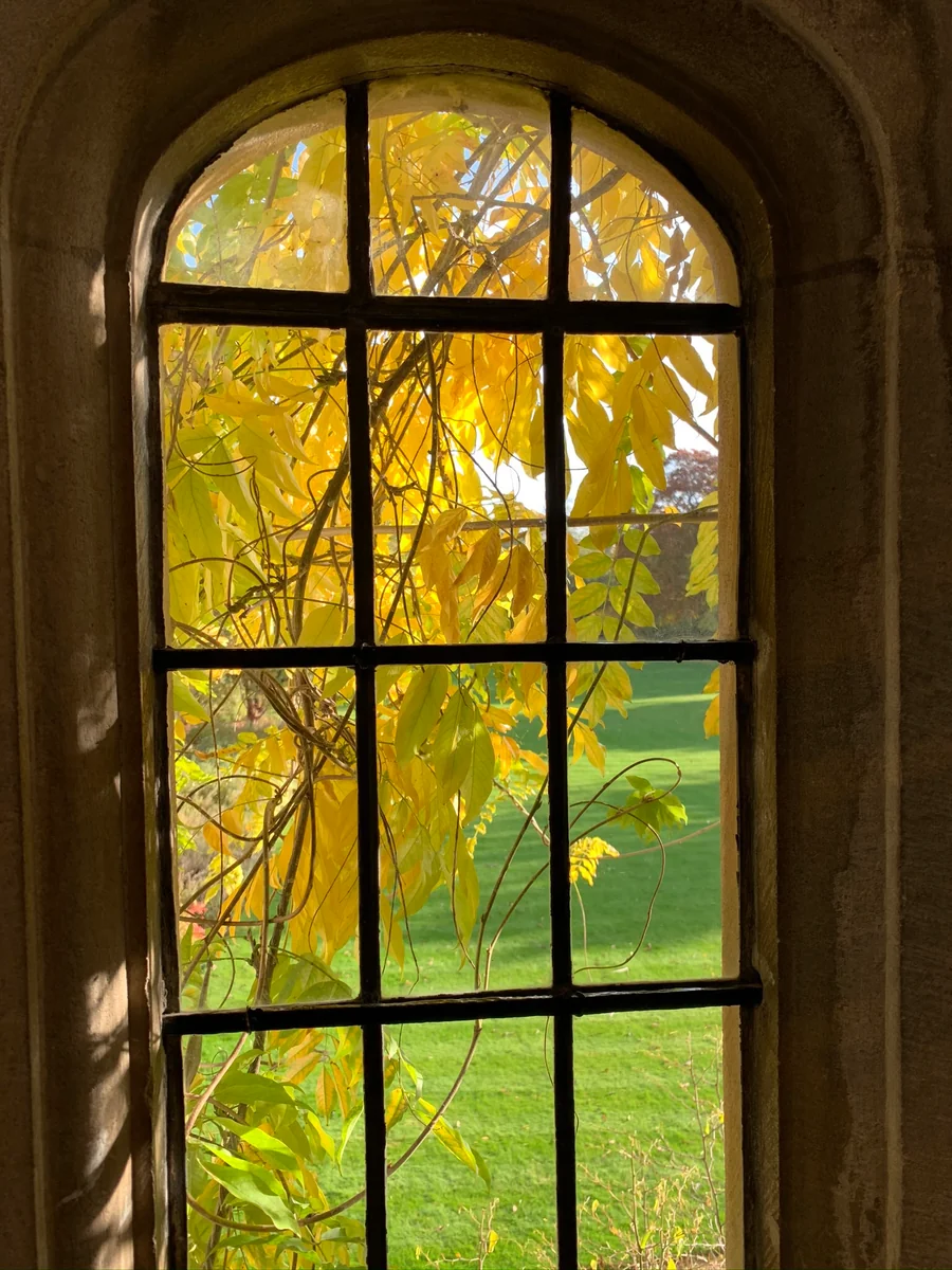 投稿写真：オックスフォードの黄葉