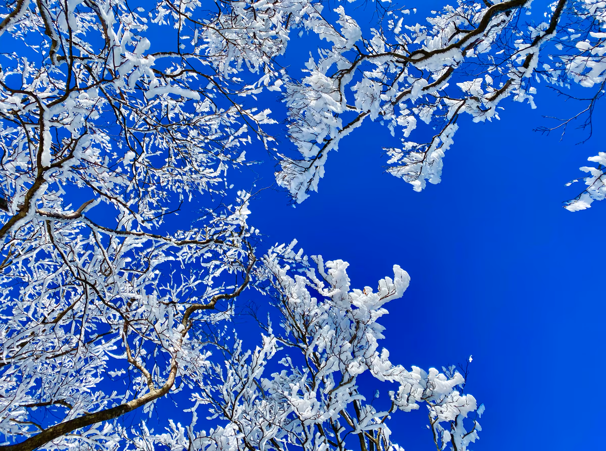 投稿写真：❄️高見ブルー❄️