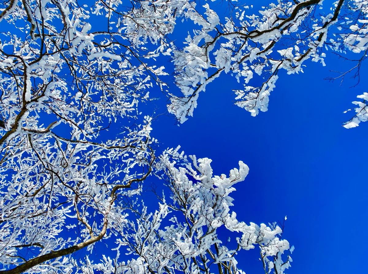 投稿写真：❄️高見ブルー❄️