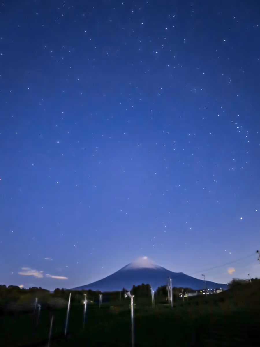 投稿写真：茶畑と富士山と北天の星空