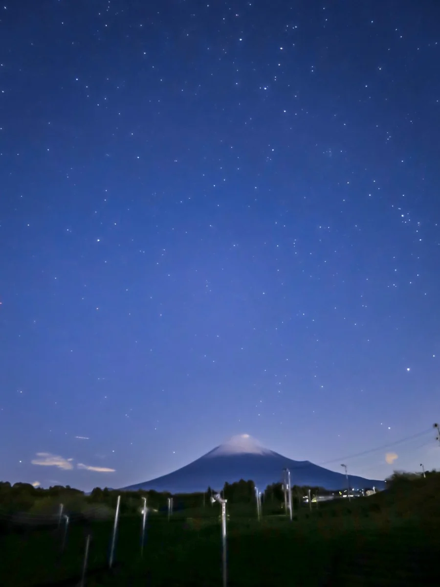 投稿写真：茶畑と富士山と北天の星空
