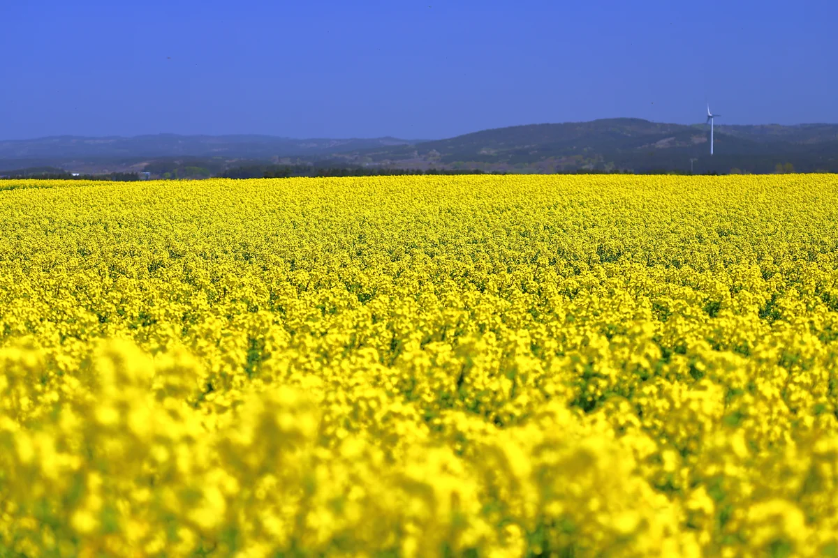 溝口 崇さんの投稿写真