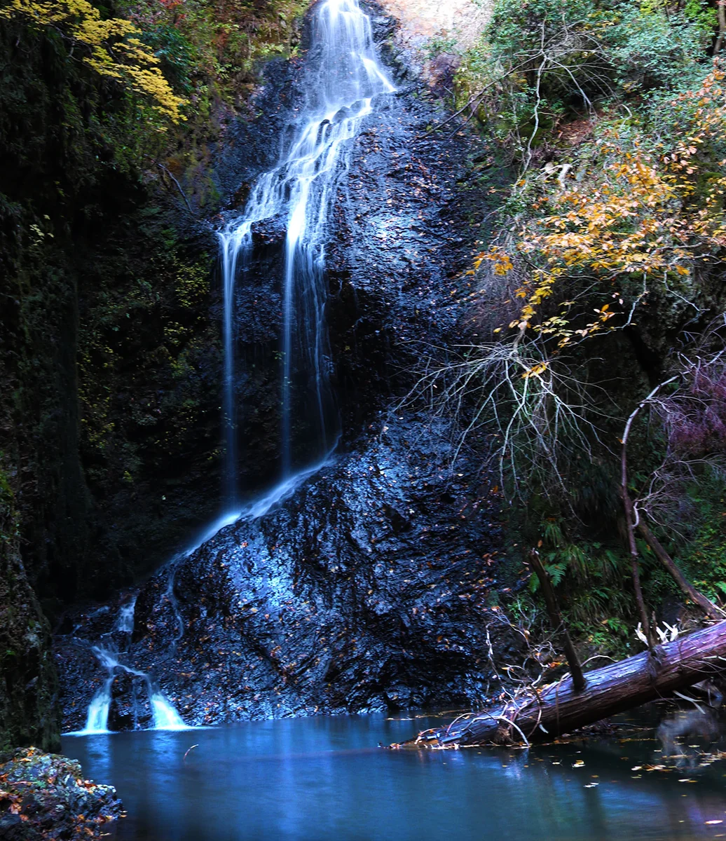 Novさんの投稿写真
