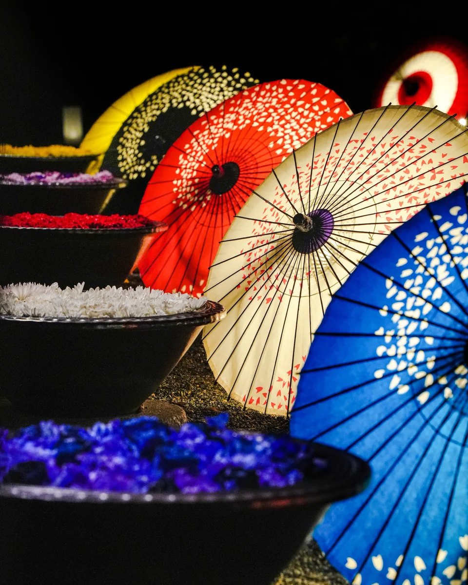 投稿写真：足利灯り物語2022