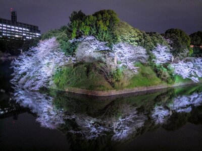  | 絶景事典