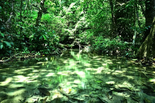 投稿：エラワン国立公園