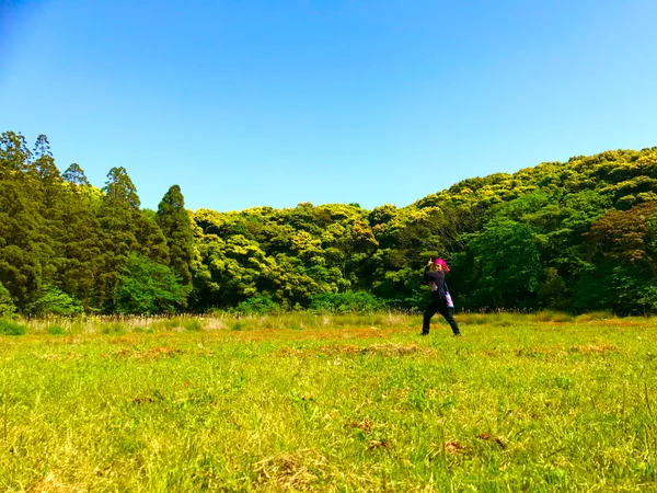 投稿：リトル　キラークィーン