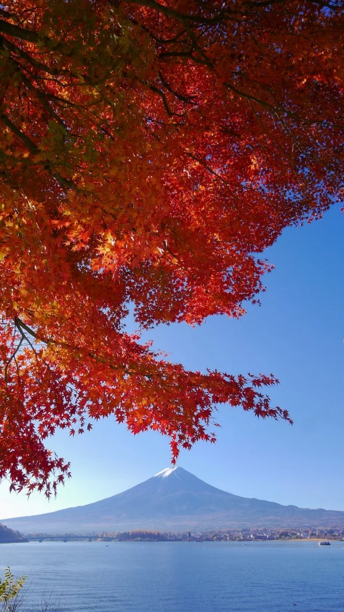 投稿写真：秋の河口湖畔