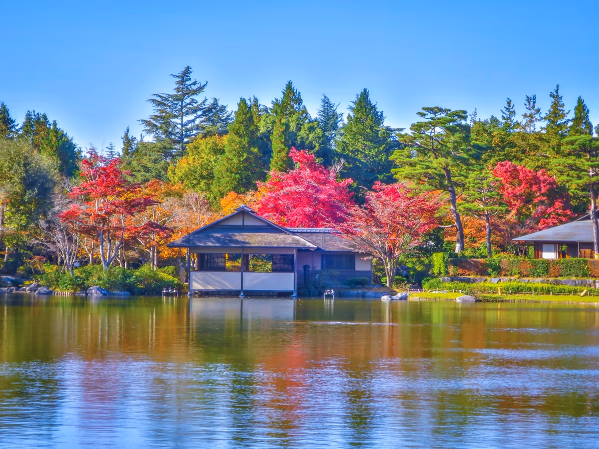 投稿写真：日本庭園の紅葉