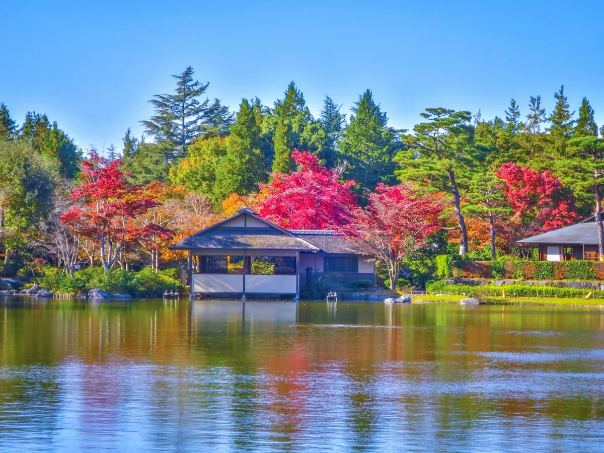 投稿写真：日本庭園の紅葉