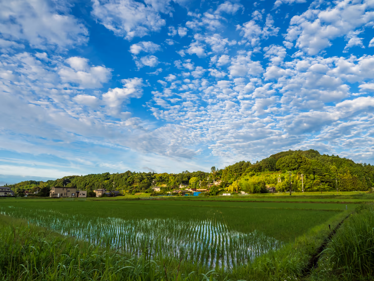 投稿写真：平凡な田舎町