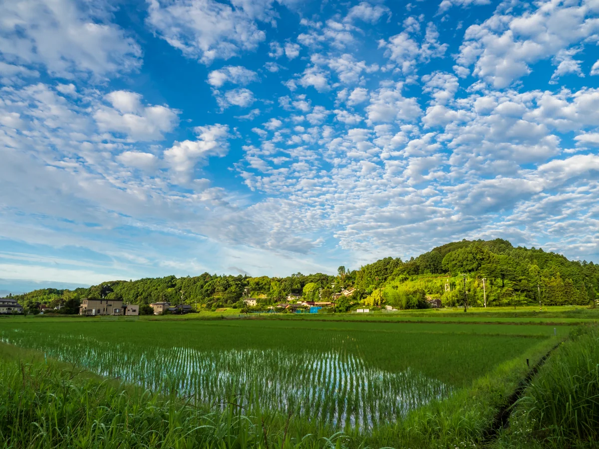 投稿写真：平凡な田舎町