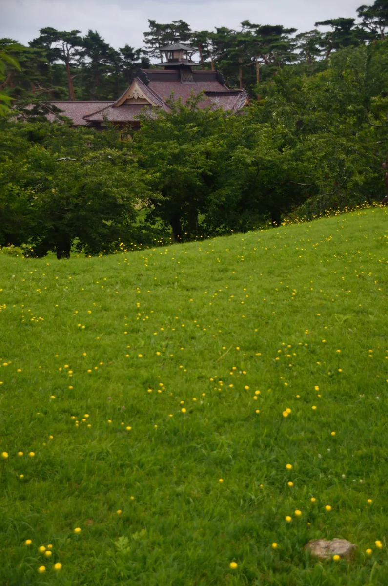 投稿写真：五稜郭　夏草