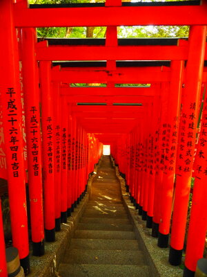  | 絶景事典
