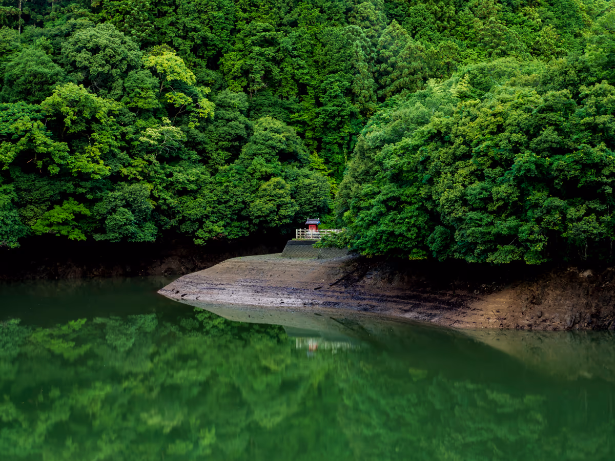 投稿写真：静かな朝