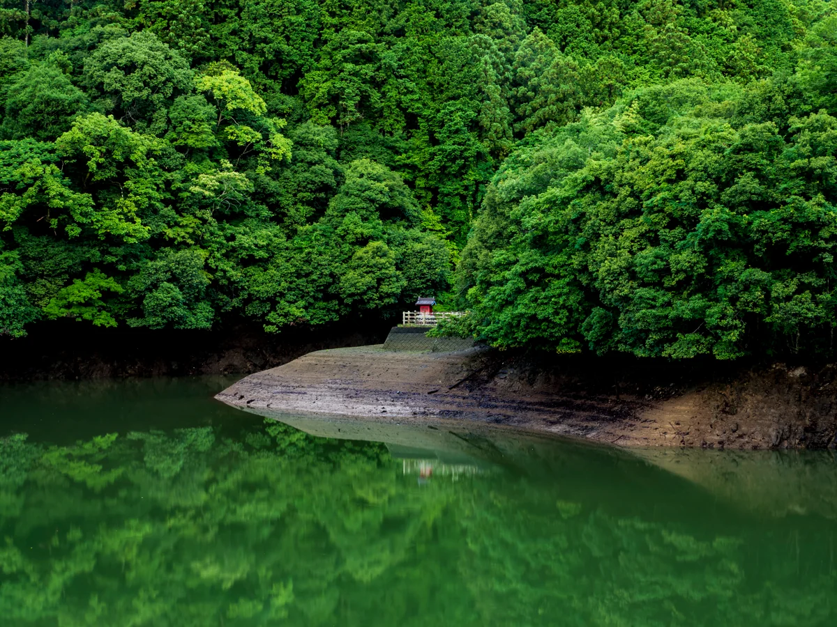 投稿写真：静かな朝