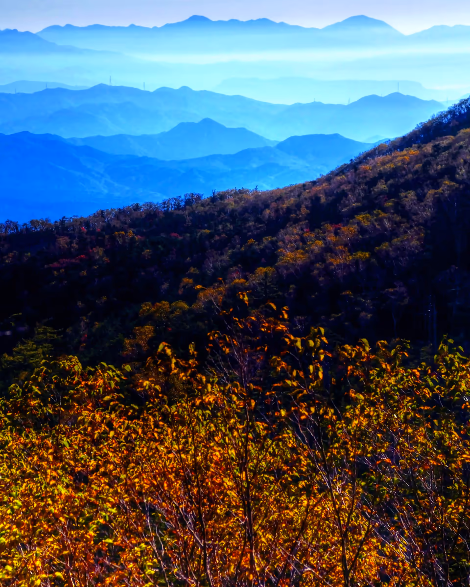 投稿写真：草津白根山　青い峰々