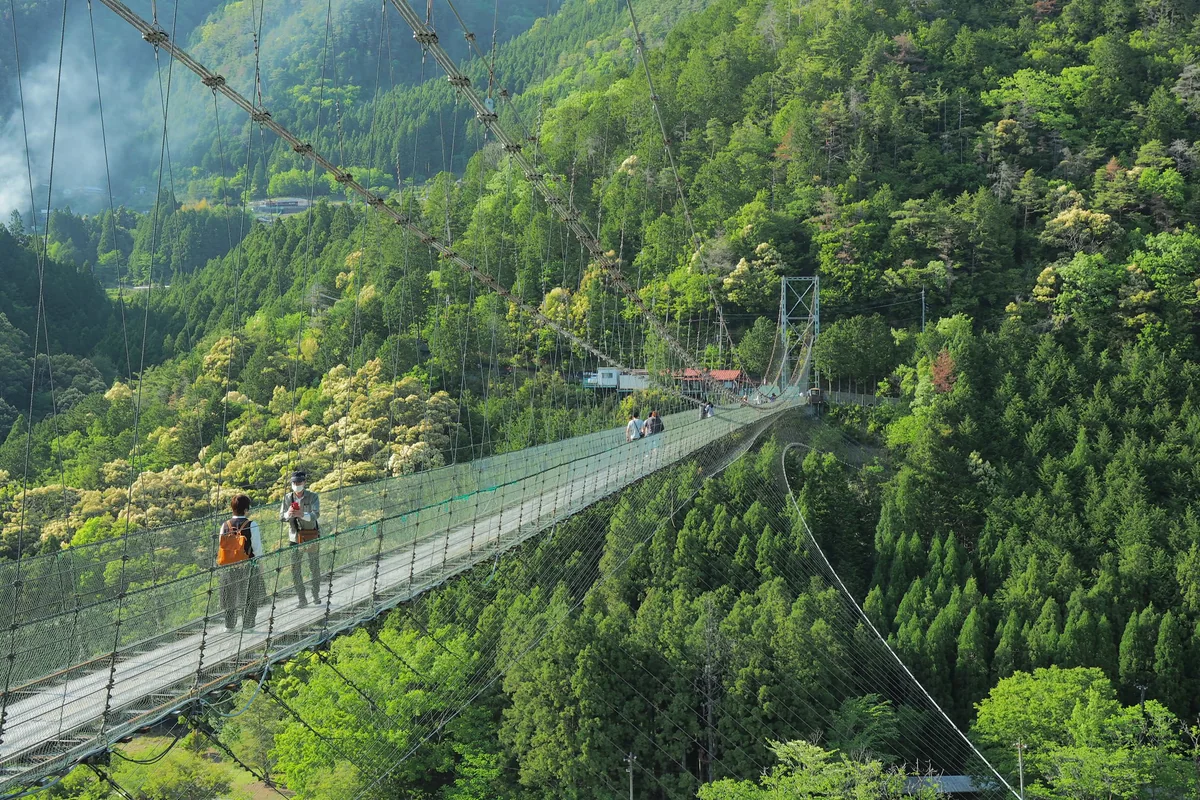 投稿写真：谷瀬の吊橋