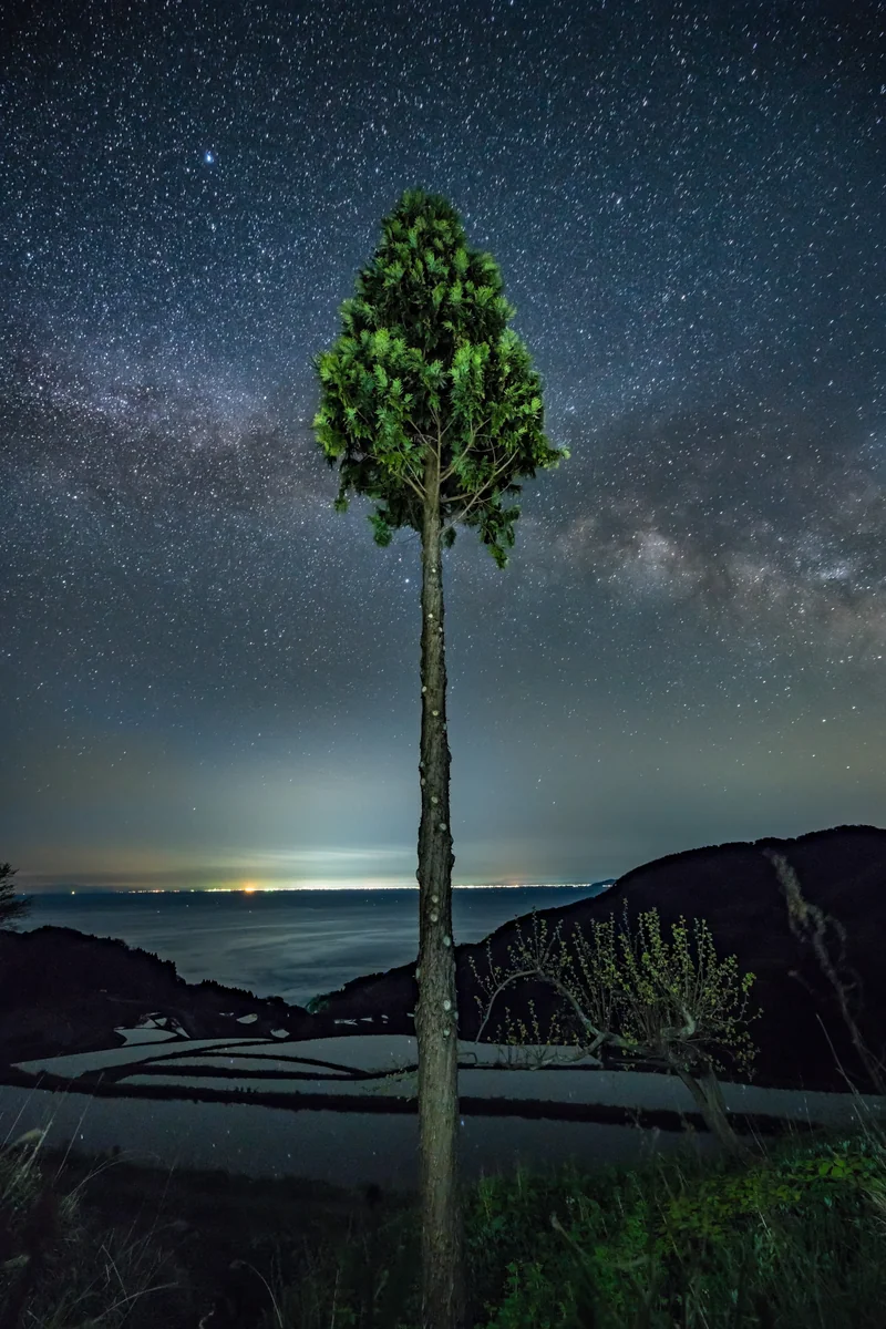 投稿写真：岩首昇竜棚田の星景
