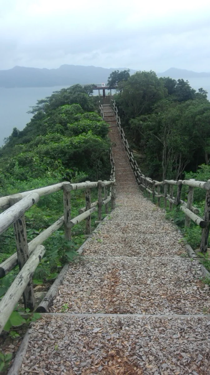 投稿写真：木製デッキからの眺望