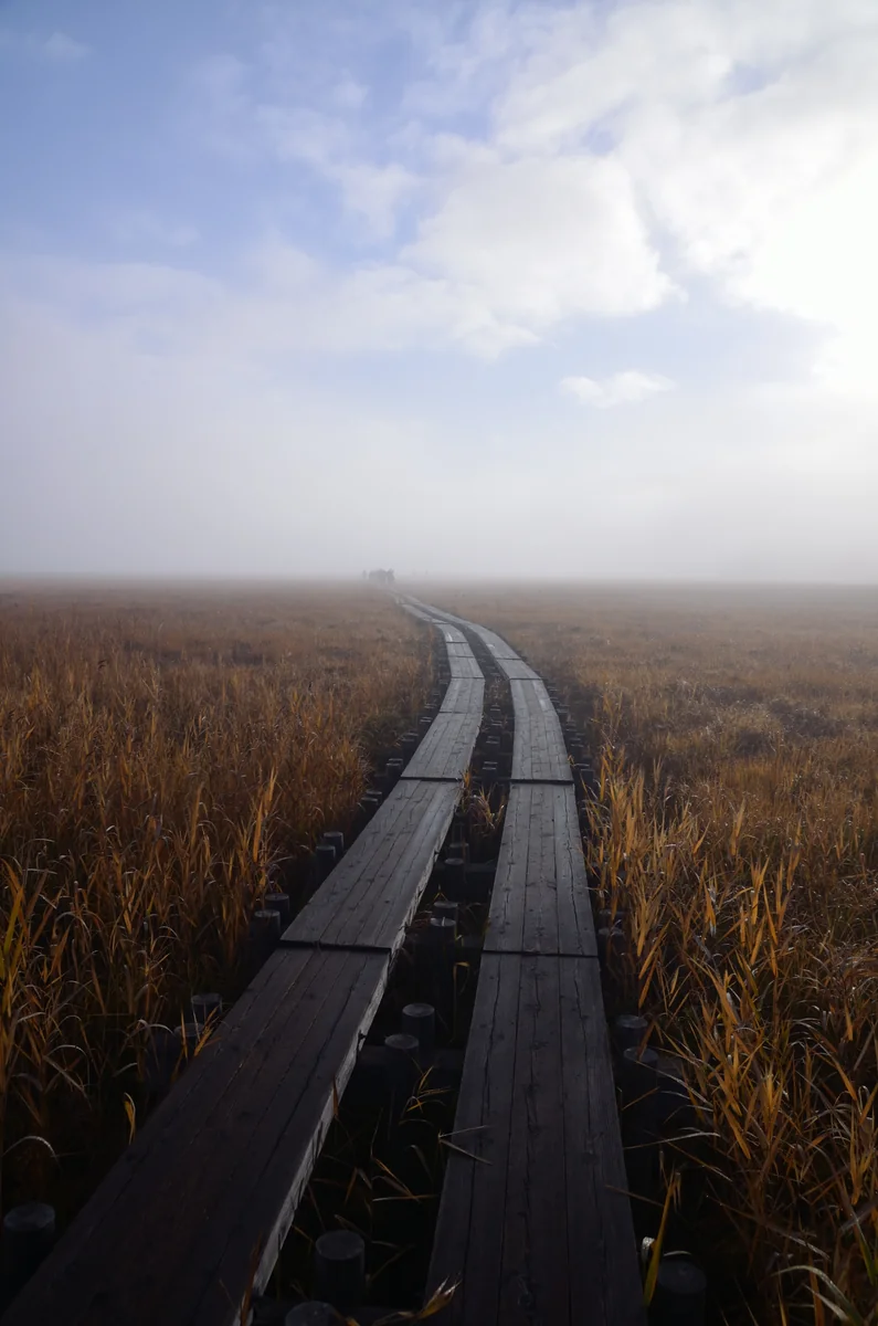 投稿写真：大草原の一本道