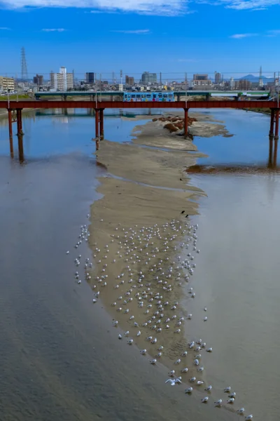 投稿：大和川と阪堺電車
