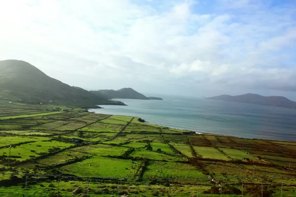 投稿：キラーニー