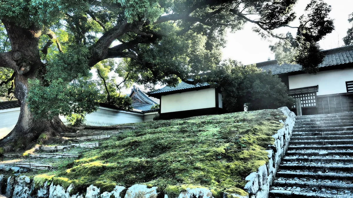 投稿写真：青蓮院門跡