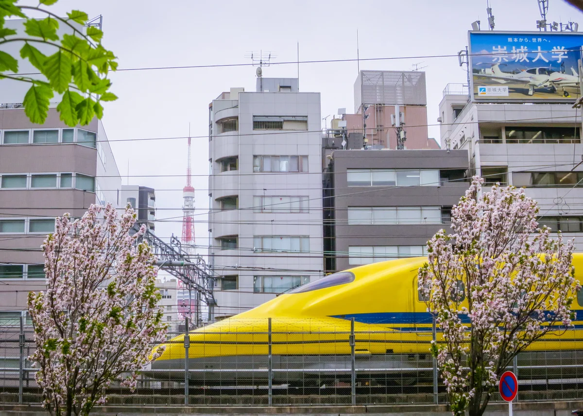 投稿写真：ドクターイエローと八重桜と東京タワー