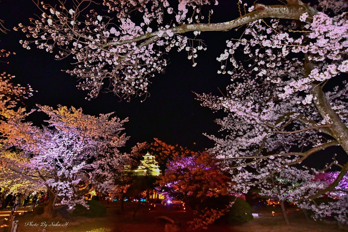 Hiromi Sakataさんの投稿写真