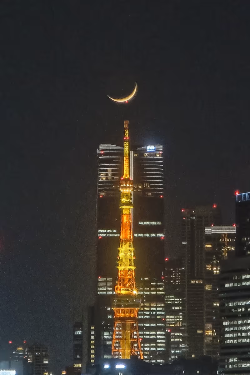 投稿写真：三日月パール東京タワー~東京タワーにタッチ