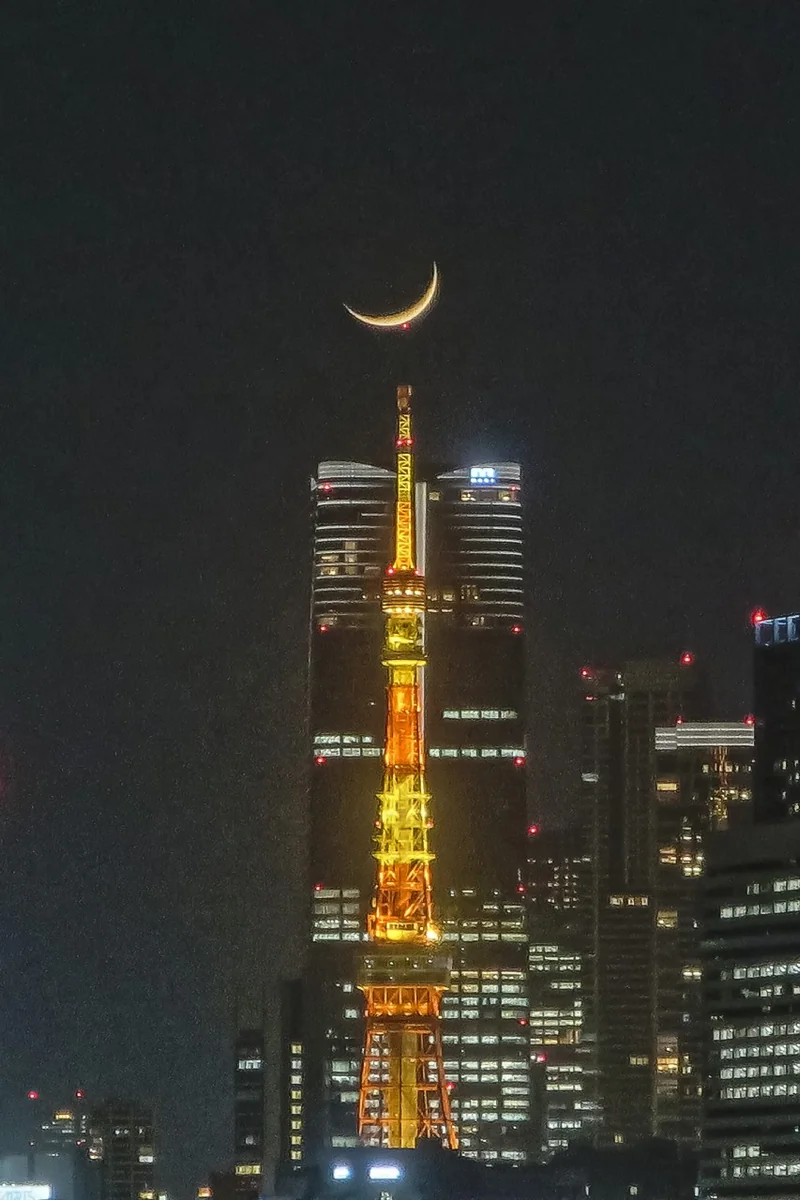 投稿写真：三日月パール東京タワー~東京タワーにタッチ