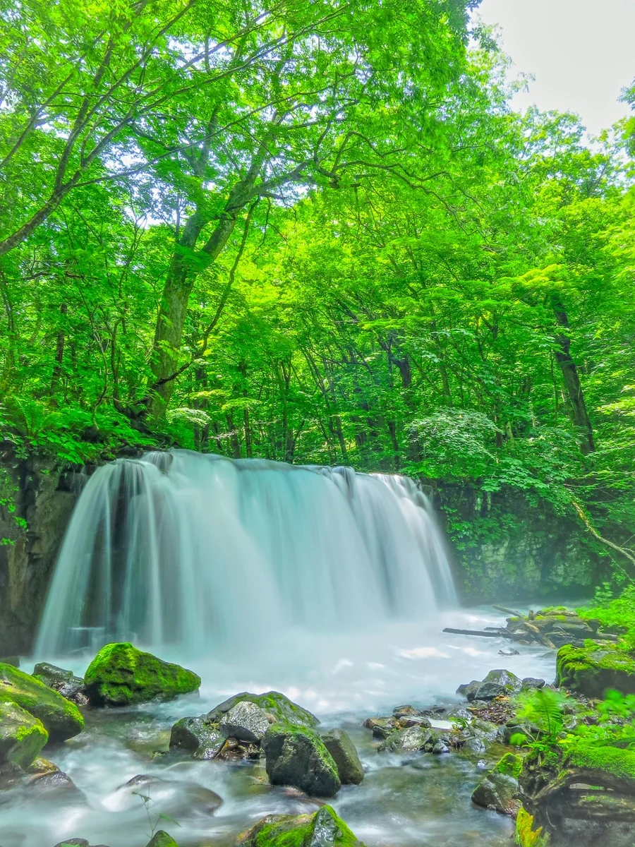 伊藤 和平さんの投稿写真